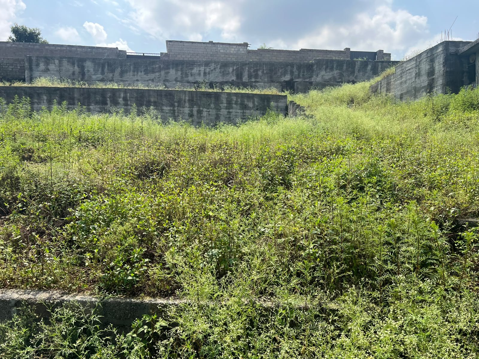 9 Marla dual-access plot with private driveway, Kaghan Colony, Abbottabad