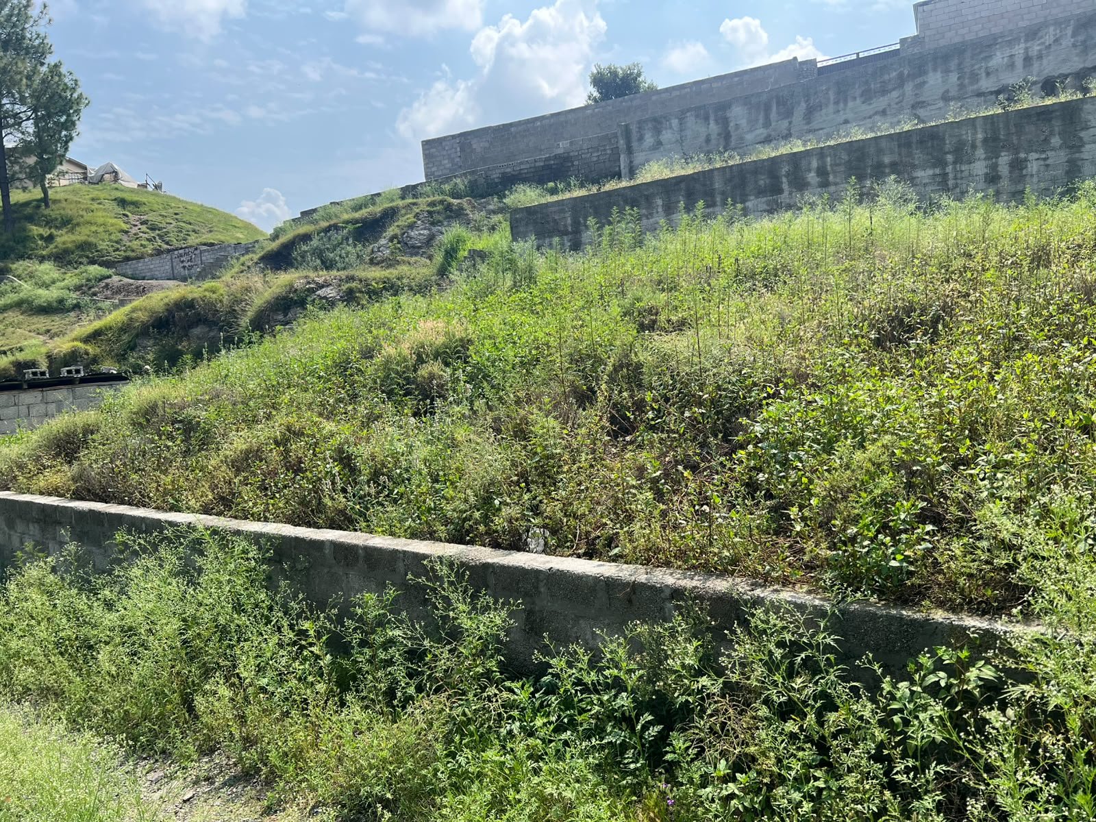 Paved access alongside the 9 Marla plot boundary, Kaghan Colony